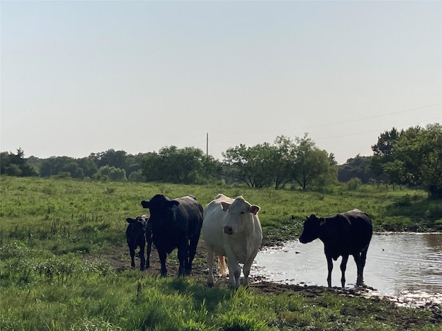 0TBD Hcr 1414, Covington, TX 76636