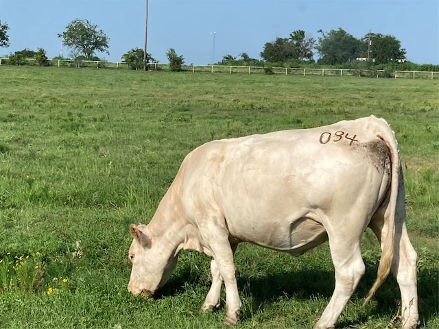 0TBD Hcr 1414, Covington, TX 76636