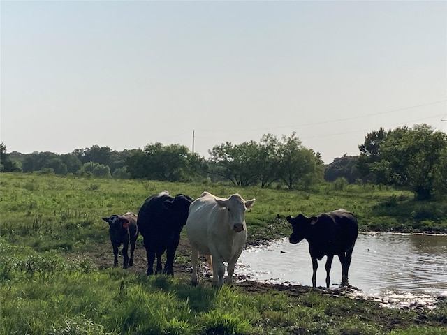 0TBD Hcr 1414, Covington, TX 76636