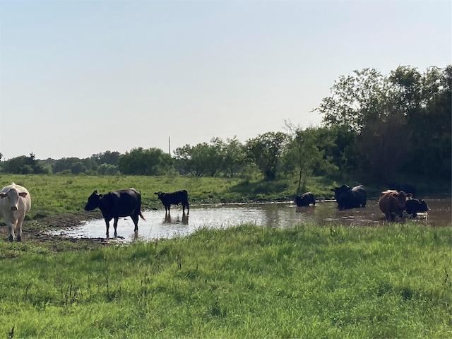 0TBD Hcr 1414, Covington, TX 76636