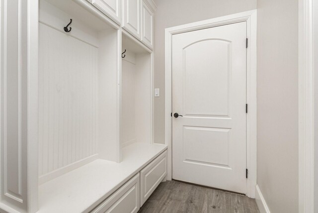 3011 Skyhawk Dr, Granbury, TX 76049 - mudroom with light wood-style floors