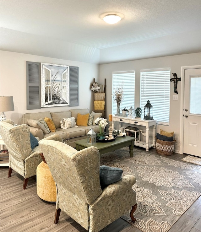 608 N Rain Barrel Pl, Weston, TX 75009 - living room featuring wood finished floors