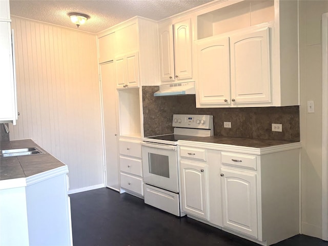 104 W Cayuga Dr, Athens, TX 75751 - kitchen featuring electric stove, under cabinet range hood, backsplash, a textured ceiling, and white cabinetry
