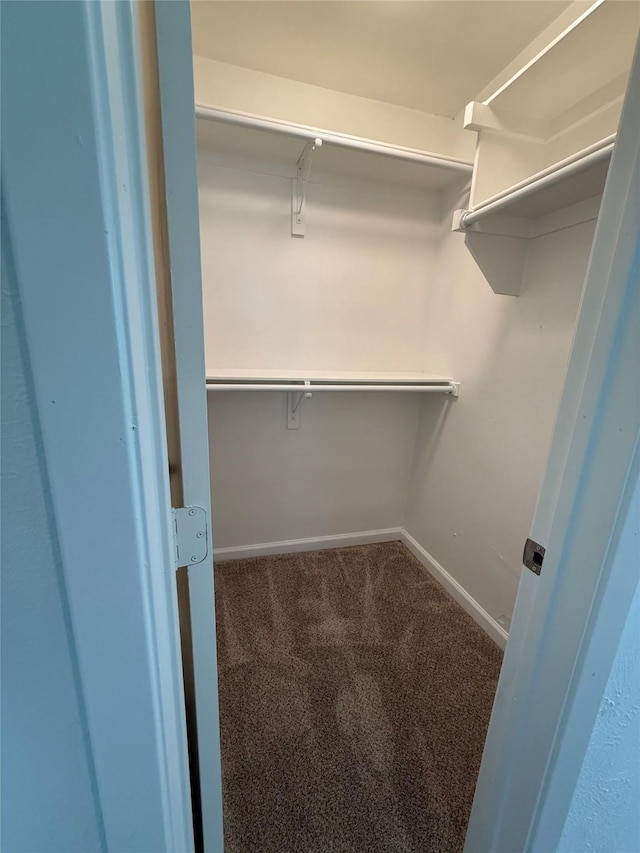 1833 Hood St, Carrollton, TX 75006 - walk in closet featuring carpet floors