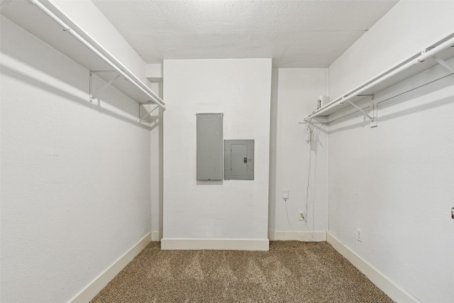 318 S Montreal Ave, Dallas, TX 75208 - spacious closet featuring electric panel and carpet floors