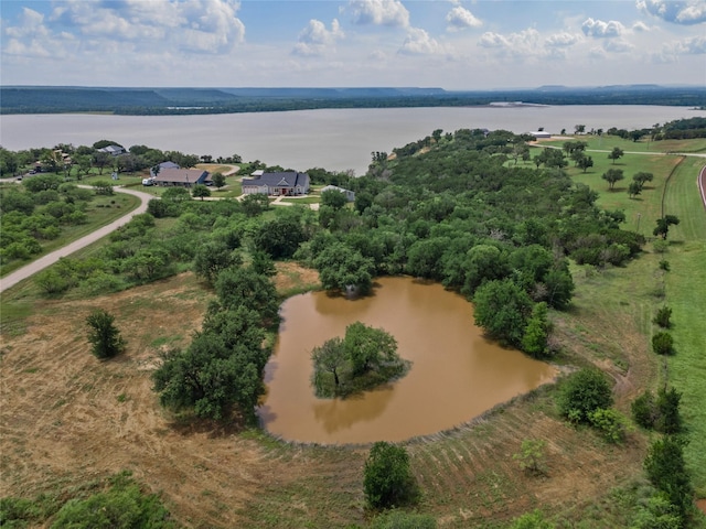 1176 Dunn Dr, Palo Pinto, TX 76484