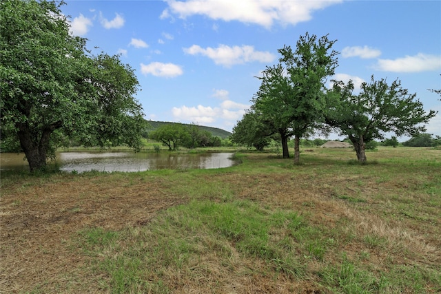 1176 Dunn Dr, Palo Pinto, TX 76484