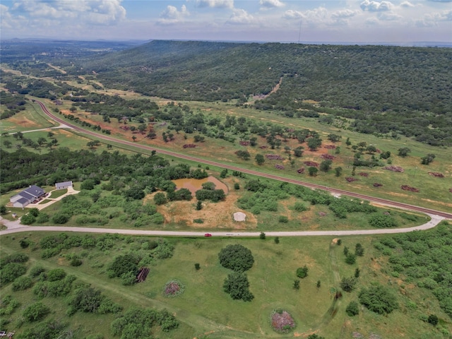 1176 Dunn Dr, Palo Pinto, TX 76484
