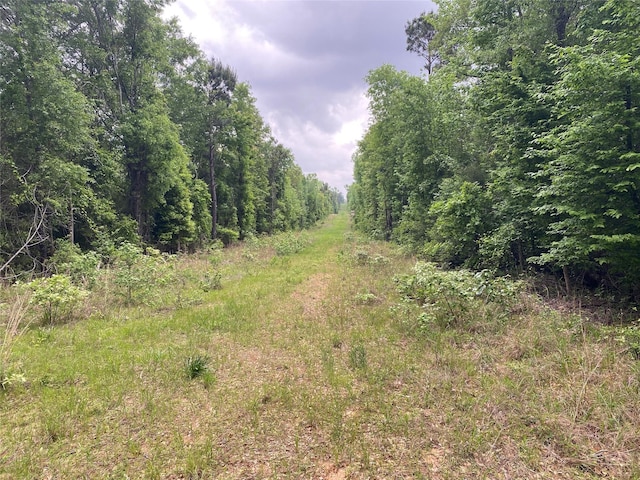 TBD Flarity Rd, Jefferson, TX 75657