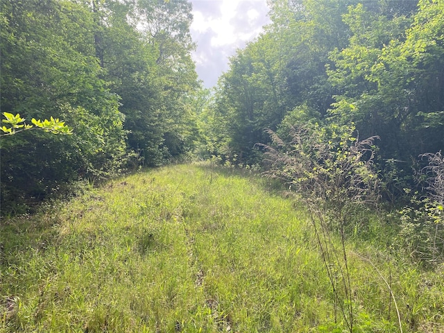 TBD Flarity Rd, Jefferson, TX 75657