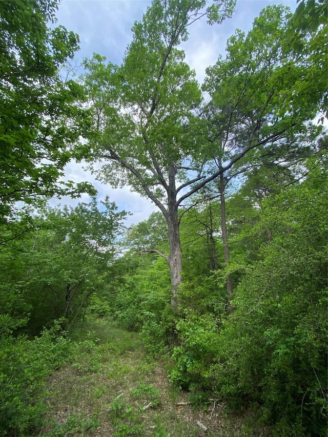 TBD Flarity Rd, Jefferson, TX 75657
