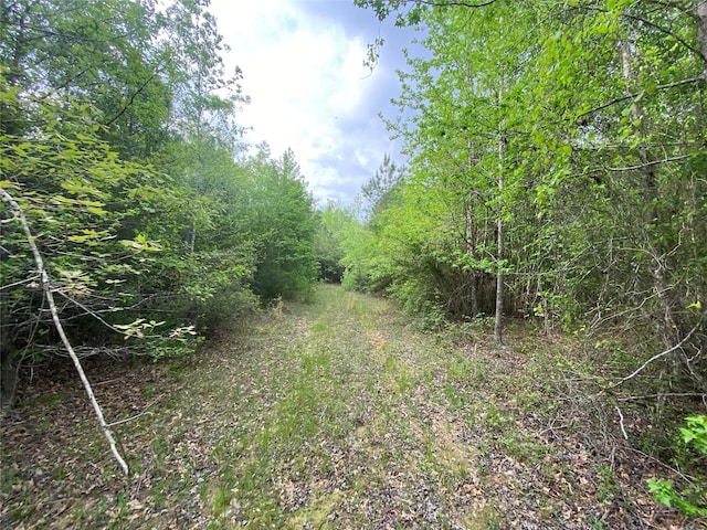 TBD Flarity Rd, Jefferson, TX 75657