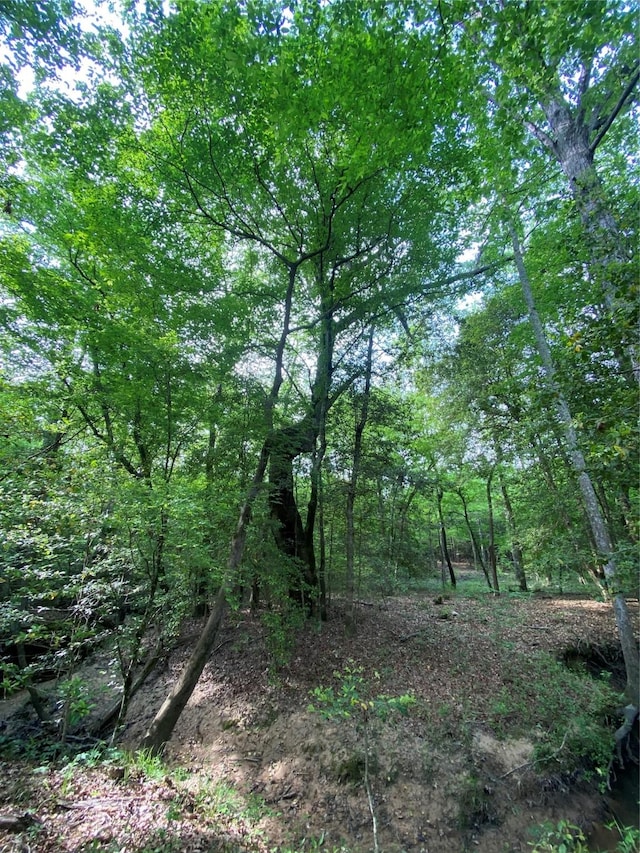 TBD Flarity Rd, Jefferson, TX 75657