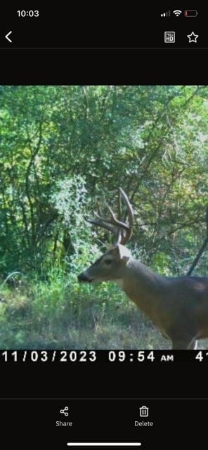 TBD Flarity Rd, Jefferson, TX 75657