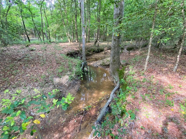 TBD Flarity Rd, Jefferson, TX 75657