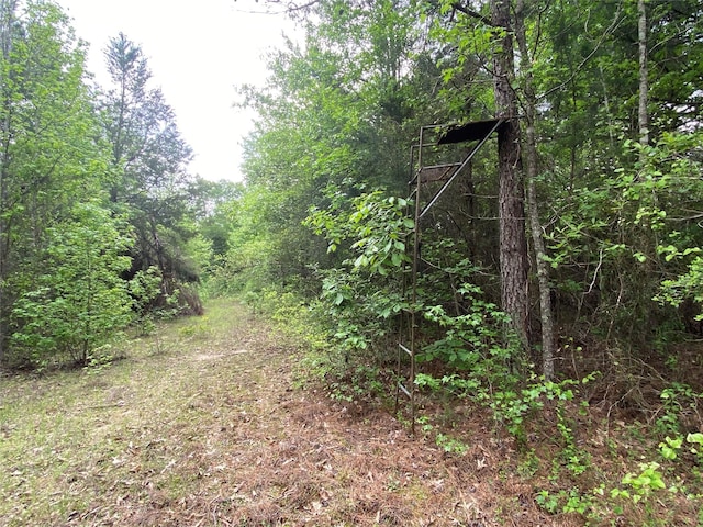 TBD Flarity Rd, Jefferson, TX 75657