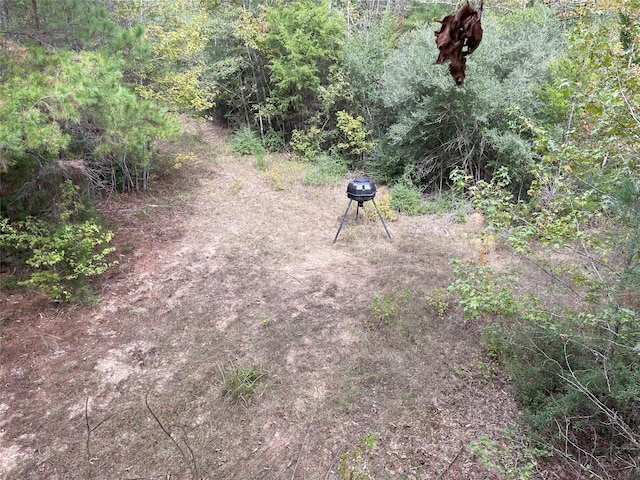 TBD Flarity Rd, Jefferson, TX 75657
