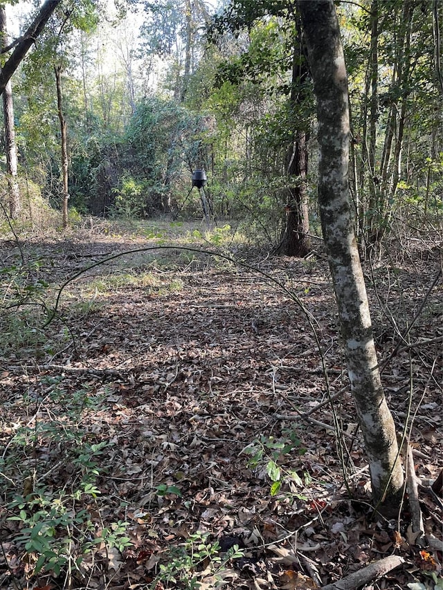 TBD Flarity Rd, Jefferson, TX 75657