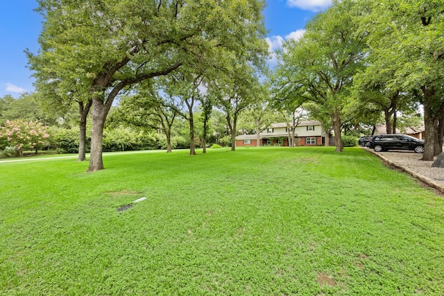 1432 Cimarron Trl, Hurst, TX 76053 - view of green lawn