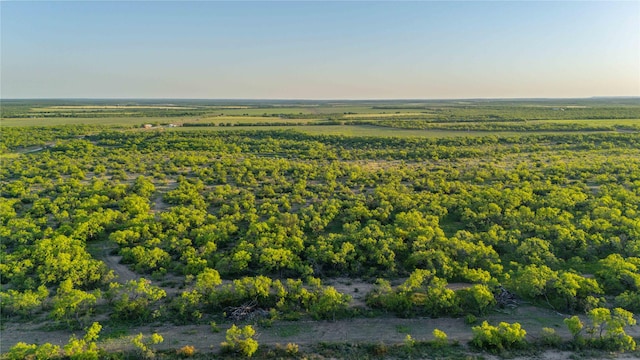 2367 County Road 311, Gouldbusk, TX 76845