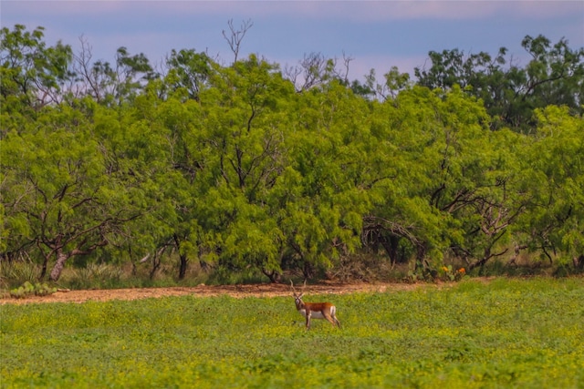 2367 County Road 311, Gouldbusk, TX 76845