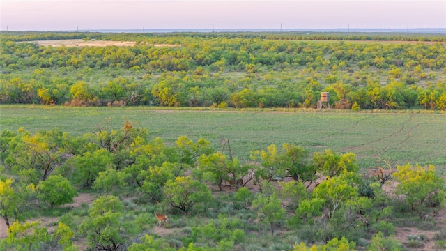 2367 County Road 311, Gouldbusk, TX 76845