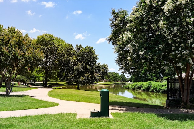 14800 Enterprise Dr Unit 23D, Farmers Branch, TX 75234 - view of home's community featuring a yard and a water view