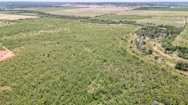 TBD County Rd 196, Ovalo, TX 79541