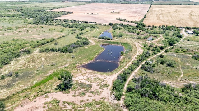 TBD County Rd 196, Ovalo, TX 79541