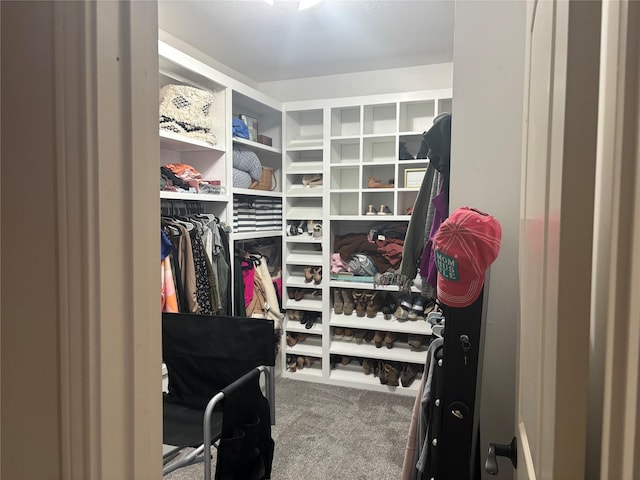 3307 Shawnee Trl, Lake Worth, TX 76135 - spacious closet featuring carpet flooring