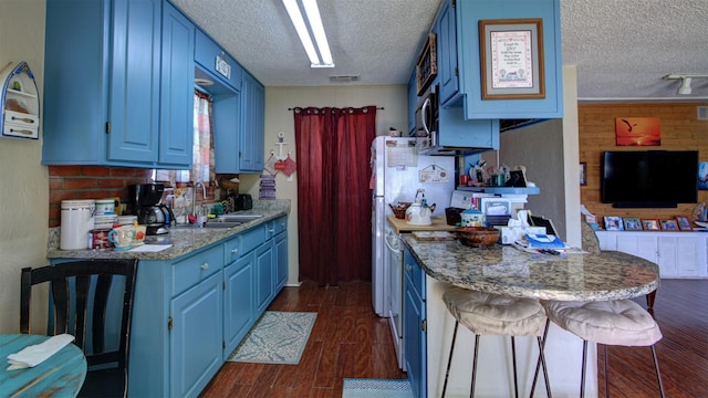 1307 Lakeshore Dr, Little Elm, TX 75068 - kitchen featuring blue cabinets, a sink, a textured ceiling, dark wood-style flooring, and wooden walls
