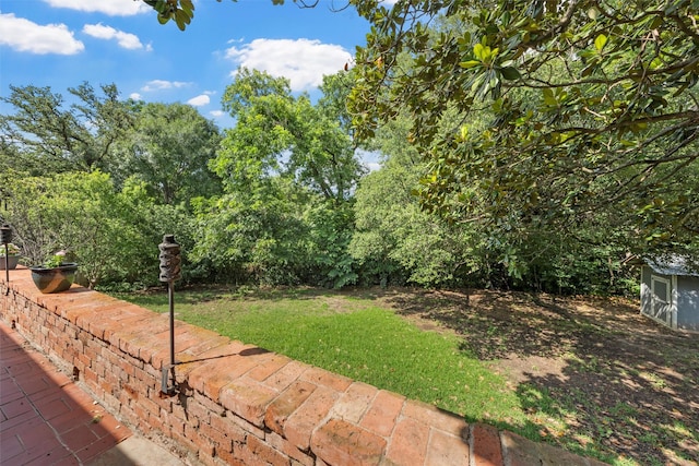 2225 Wooded Acres Dr, Waco, TX 76710 - view of green lawn