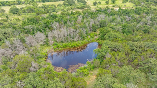 TBD County Road 109 45, Mingus, TX 76463