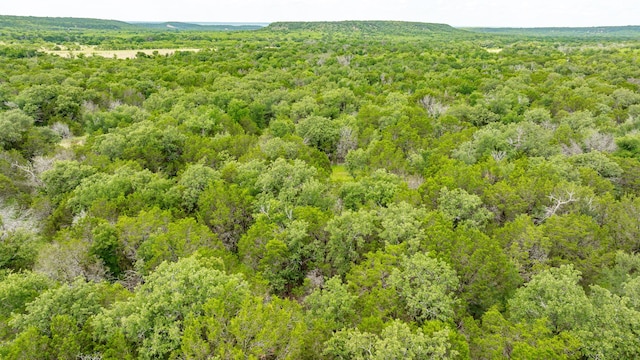 TBD County Road 109 45, Mingus, TX 76463