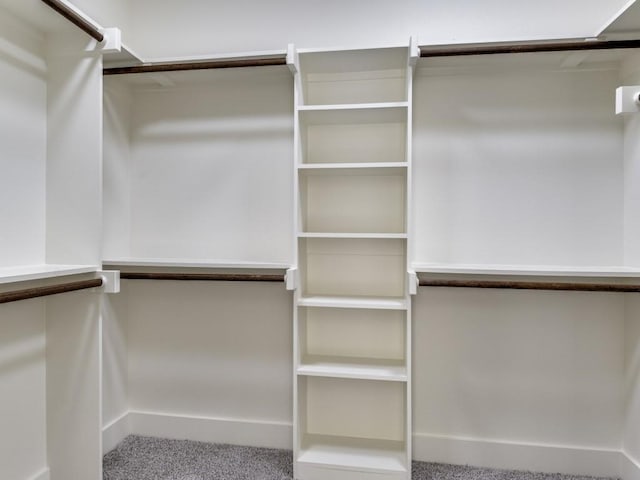 6434 Abner Rd, Terrell, TX 75161 - walk in closet with carpet floors