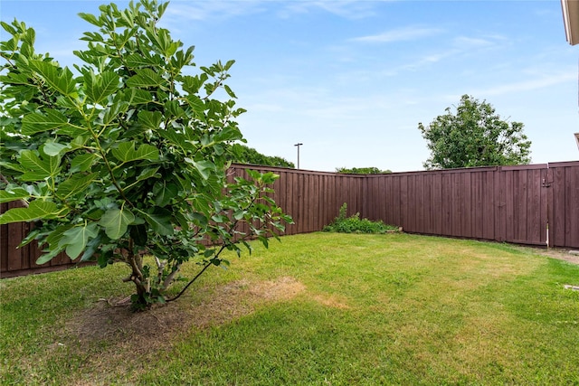 3616 Canyon Oaks Dr, Carrollton, TX 75007 - view of fenced backyard