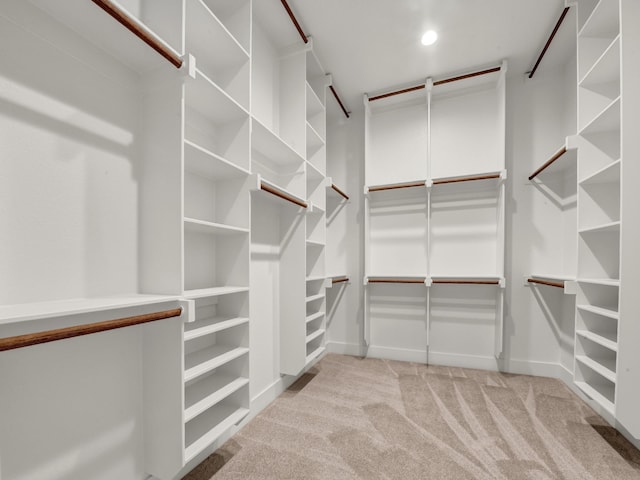 971 County Road 1304, Bridgeport, TX 76426 - spacious closet with light carpet