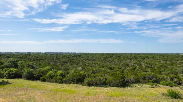 TBD Fm-2481 Lot 9, Stephenville, TX 76401
