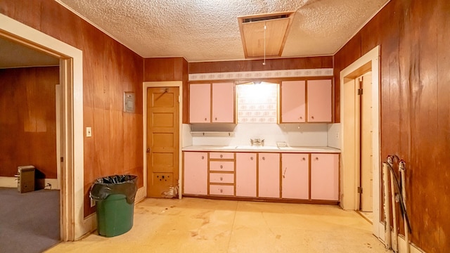 224 Pecan St, Dublin, TX 76446 - kitchen with light countertops, a textured ceiling, a sink, and wood walls