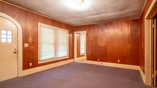 224 Pecan St, Dublin, TX 76446 - spare room featuring wooden walls, carpet, and a textured ceiling