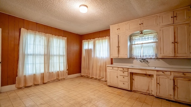 224 Pecan St, Dublin, TX 76446 - kitchen featuring a sink, light countertops, a textured ceiling, and wooden walls