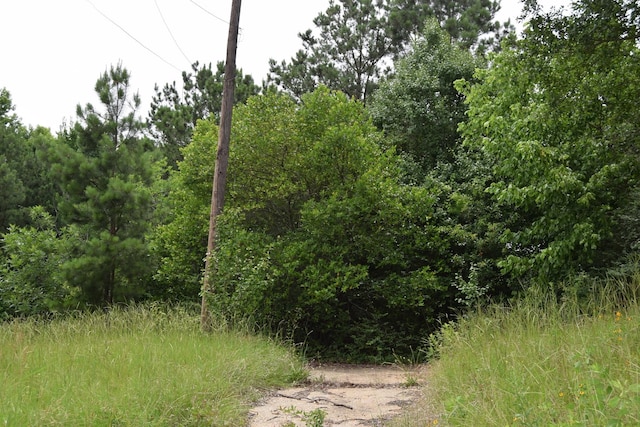 1 Main St, Minden, LA 71055