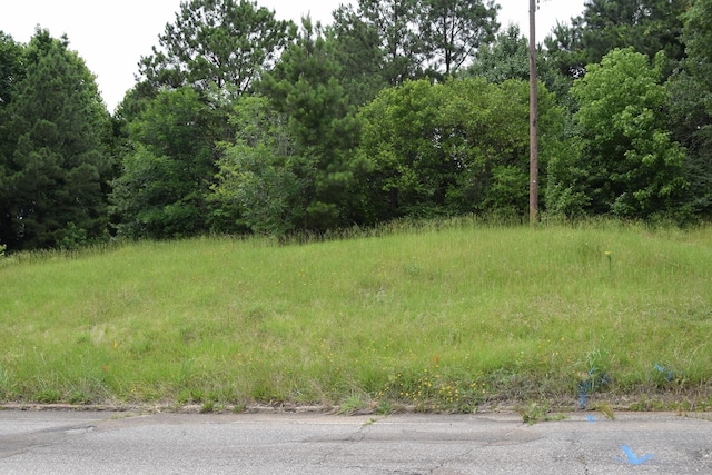 1 Main St, Minden, LA 71055