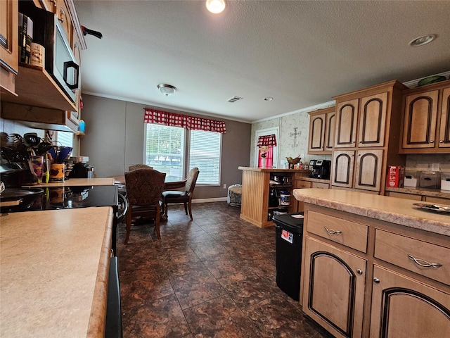 201 Little River Bnd, Quitman, TX 75783 - kitchen with ornamental molding, light countertops, and a textured ceiling