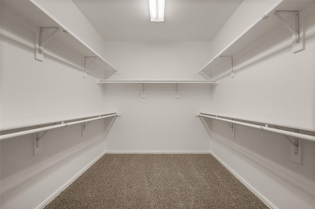 1021 Tara Dr, Burleson, TX 76028 - spacious closet with carpet