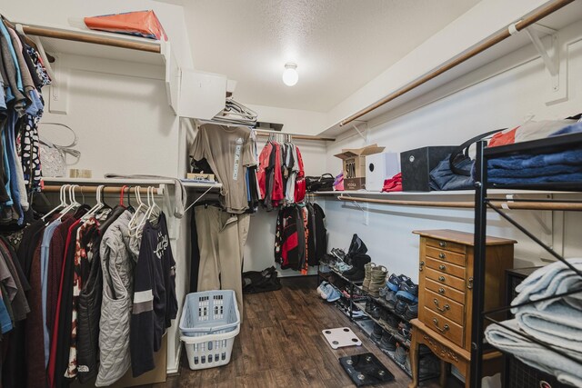 3428 Baby Doe Ct, Fort Worth, TX 76137 - spacious closet with wood finished floors