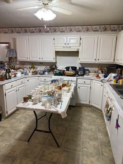 502 E College St, Leonard, TX 75452 - kitchen featuring under cabinet range hood, white cabinetry, a ceiling fan, white stove, and light countertops