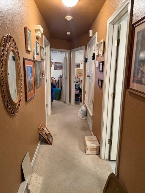 502 E College St, Leonard, TX 75452 - corridor with a textured wall and light carpet