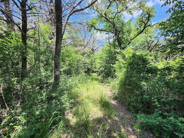 533 Lcr 721, Kosse, TX 76653