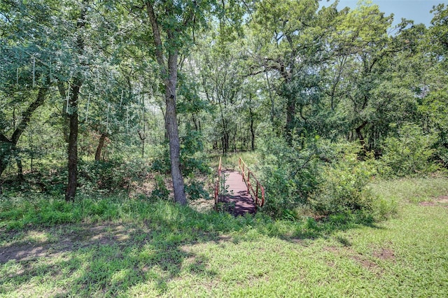 224 Cimmarron Vista Ct, Runaway Bay, TX 76426 - view of tree filled area